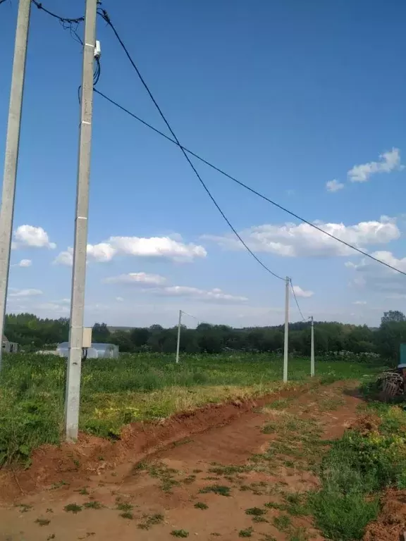 Участок в Кировская область, Кирово-Чепецкий район, Кстининское с/пос, ... - Фото 2