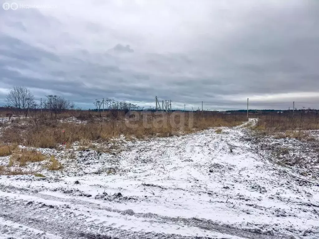 Участок в Пермский муниципальный округ, деревня Качка (20 м) - Фото 2