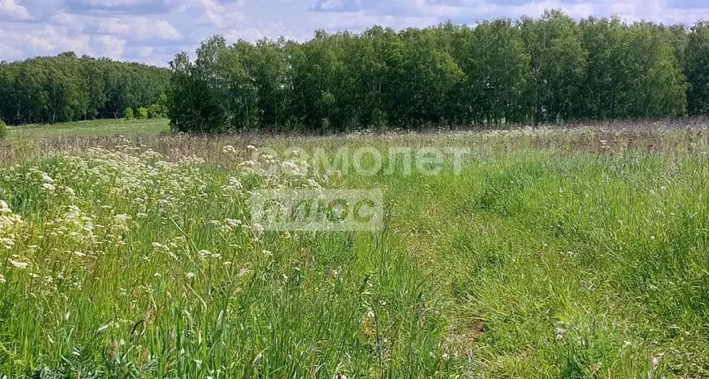 Участок в Московская область, Чехов муниципальный округ, д. Солодовка  ... - Фото 1
