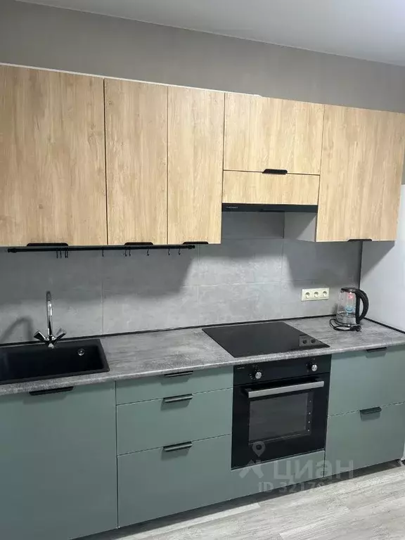 1-к кв. Московская область, Ногинск Богородский городской округ, ул. ... - Фото 2