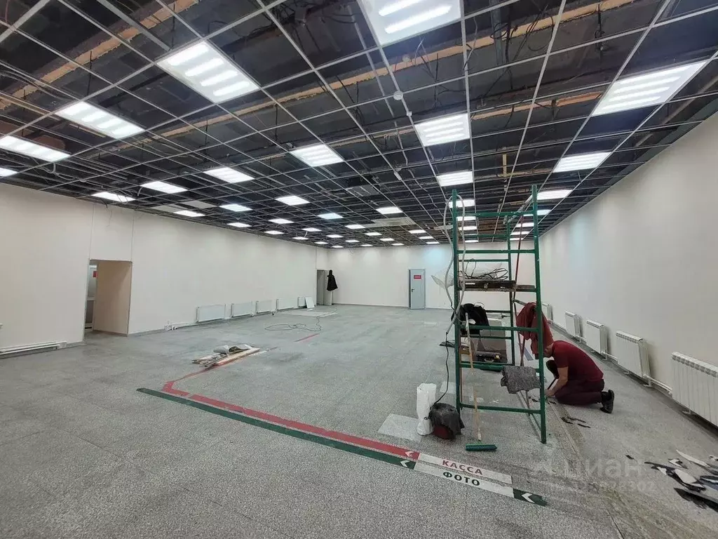 Помещение свободного назначения в Новосибирская область, Новосибирск ... - Фото 1