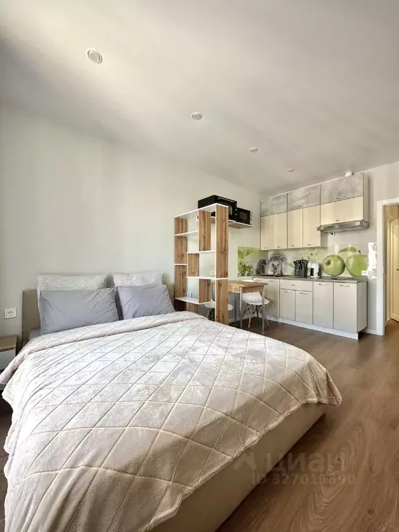 Студия Краснодарский край, Сочи Курортный просп., 55 (30.0 м) - Фото 2