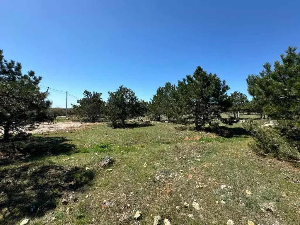 Участок в Севастополь Янтарь садоводческое товарищество, 17 (8.0 сот.) - Фото 1