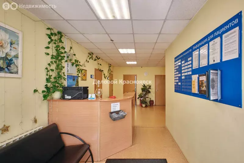 Помещение свободного назначения (267 м) - Фото 1