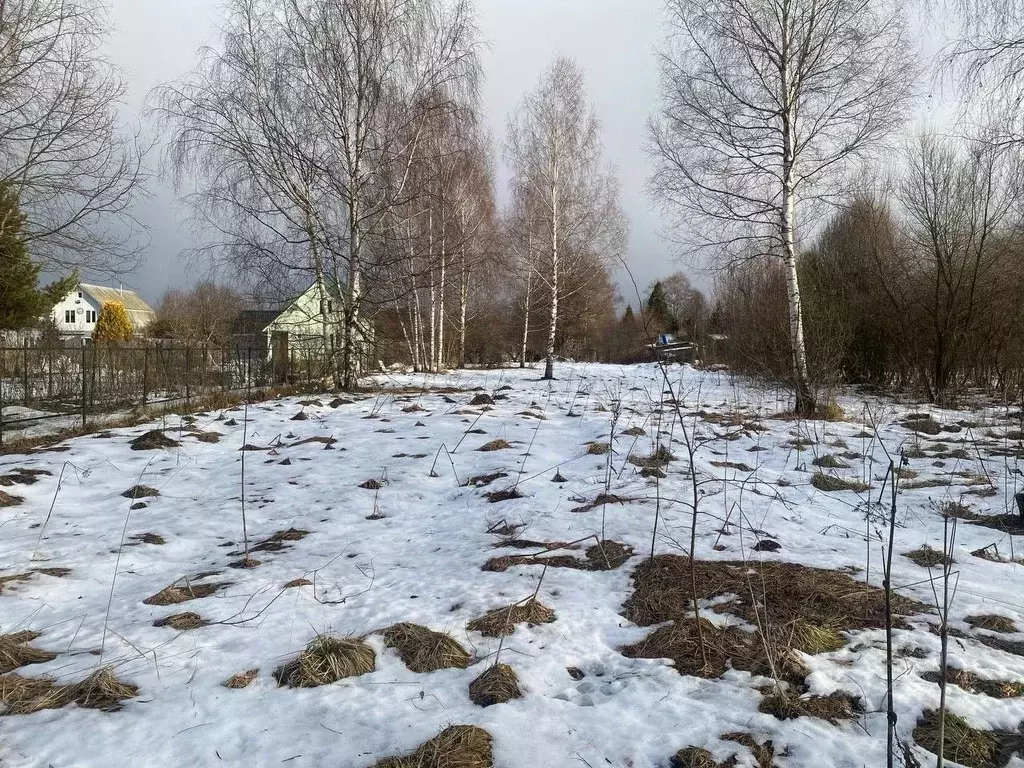 Участок в Московская область, Талдомский городской округ, д. Бурцево  ... - Фото 1