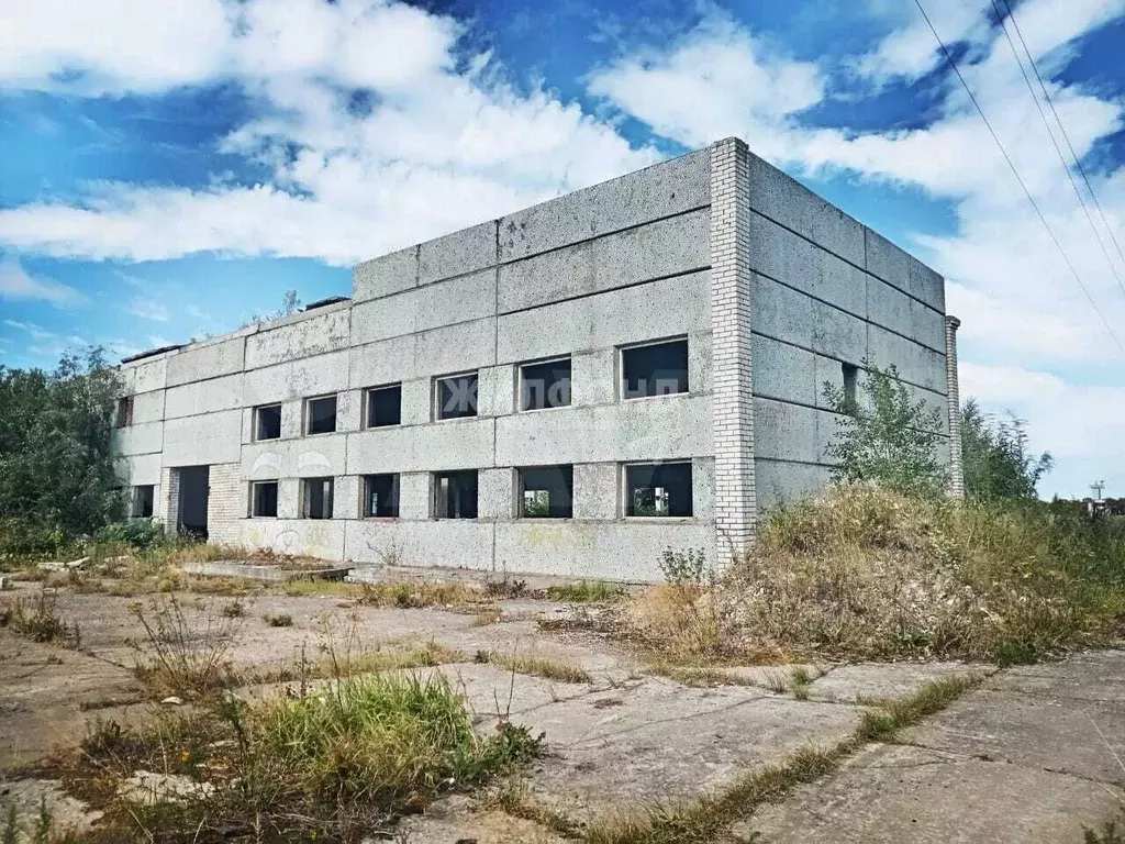 Продам помещение свободного назначения, 12250 м - Фото 0