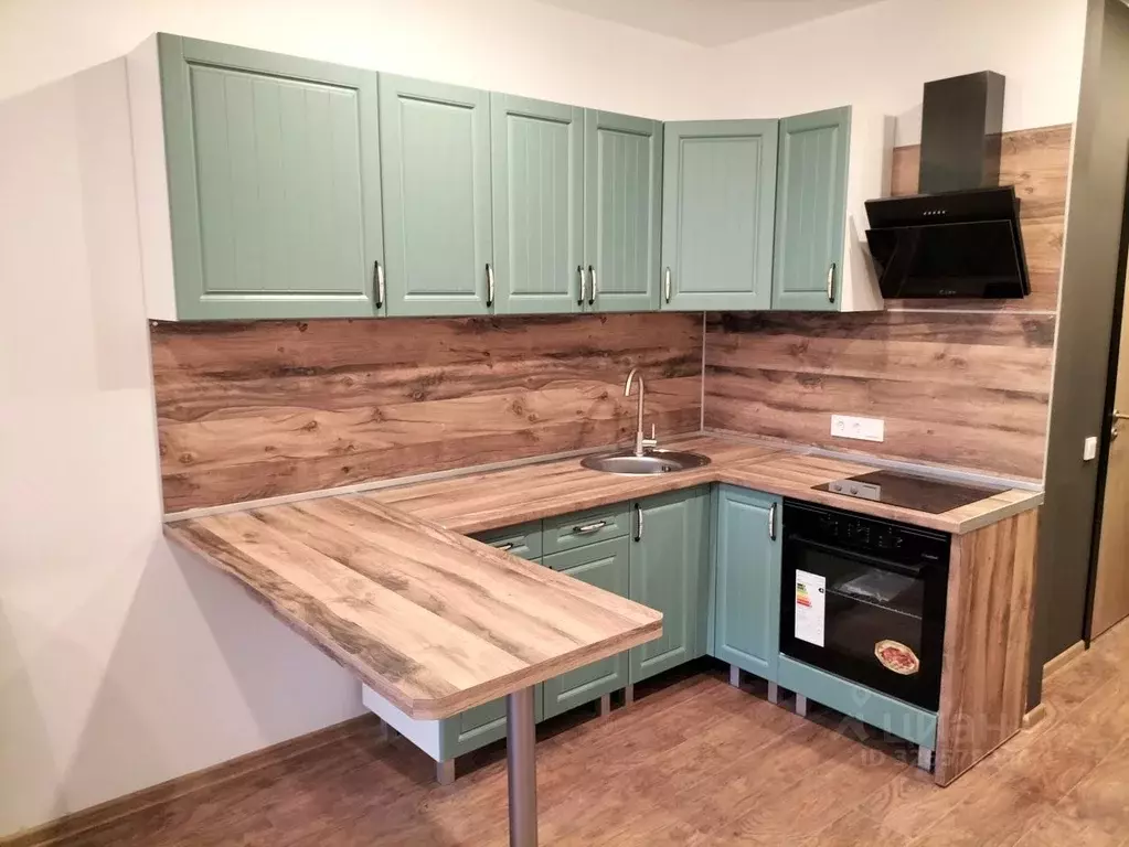 Студия Санкт-Петербург 2-й Муринский просп., 36 (25.7 м) - Фото 1