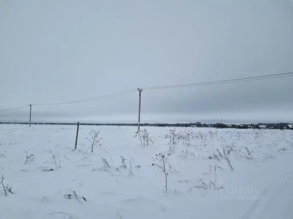 Участок в Новгородская область, Старорусский район, Наговское с/пос, ... - Фото 1