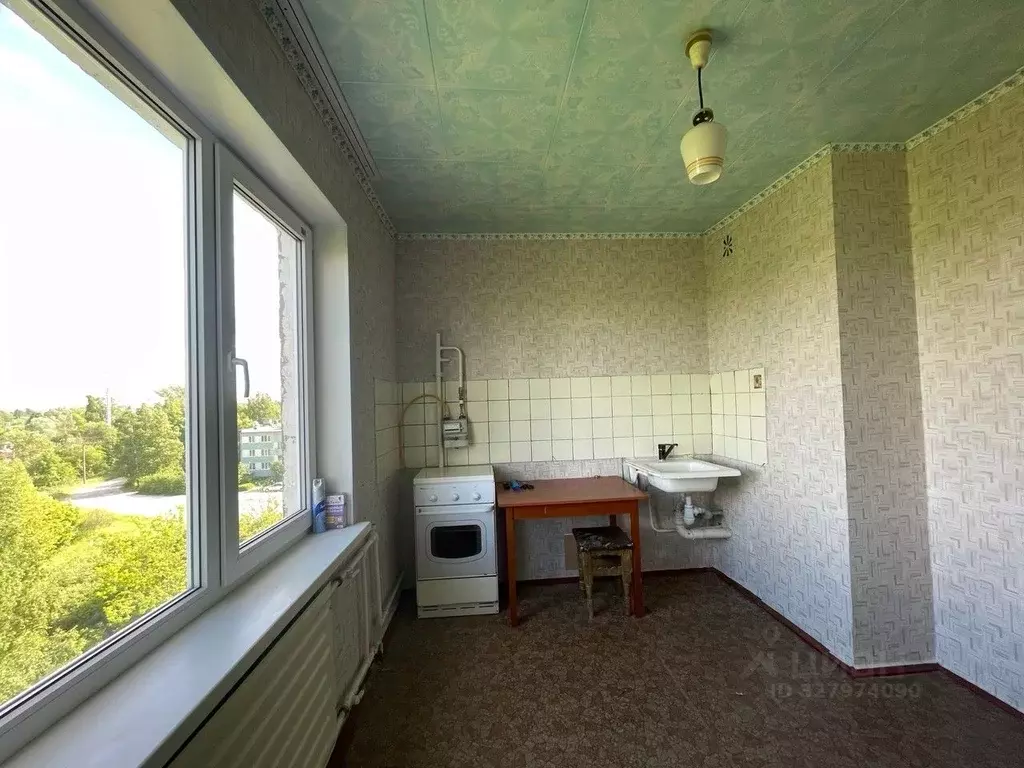1-к кв. Псковская область, Остров Строитель мкр, 18 (30.4 м) - Фото 2