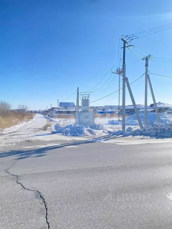 Участок в Амурская область, Благовещенский район, с. Чигири ул. ... - Фото 1
