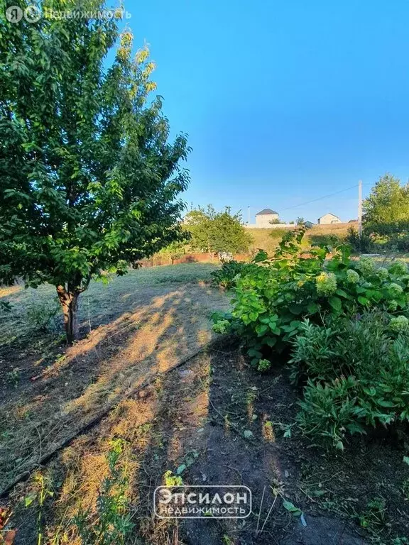 Участок в Курский район, Новопоселеновский сельсовет, деревня Кукуевка ... - Фото 1