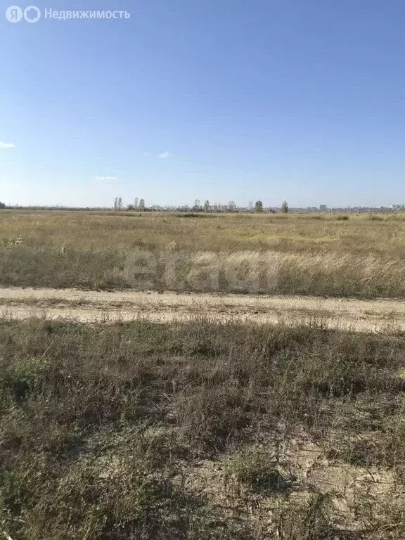 Участок в Истоминское сельское поселение, СНТ Речник, Главная улица ... - Фото 1