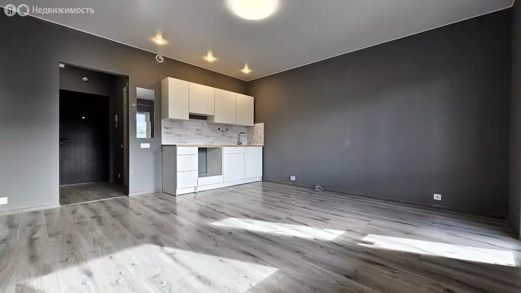 Квартира-студия: Колпино, Понтонная улица, 9к2 (28 м) - Фото 0