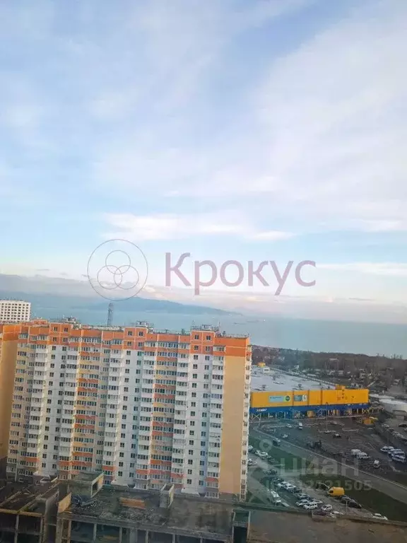 Студия Краснодарский край, Новороссийск ул. Котанова, 2 (23.5 м) - Фото 0