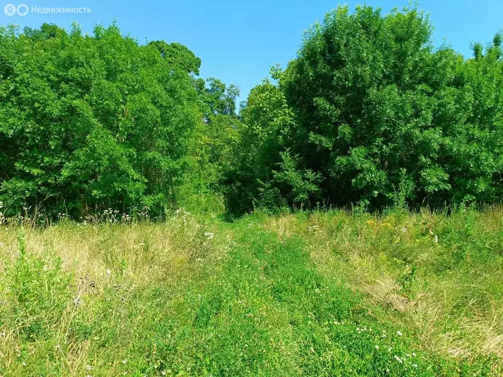 Участок в Краснодарский край, городской округ Новороссийск, село Южная ... - Фото 0