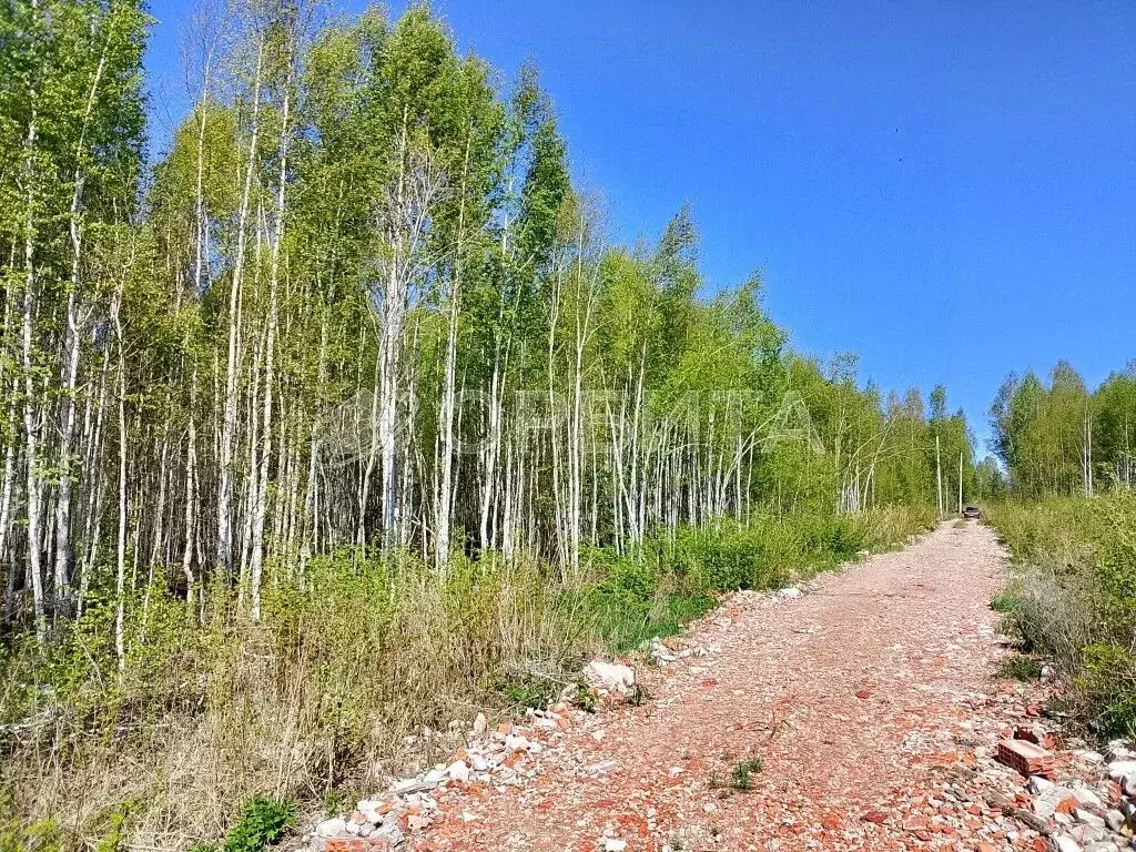 Участок в Тюменская область, Нижнетавдинский район, Строитель ТСН  ... - Фото 0