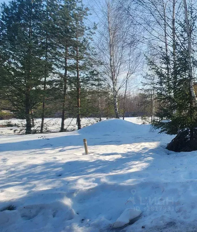 Участок, 18 сот., поселения (ижс) - Фото 1