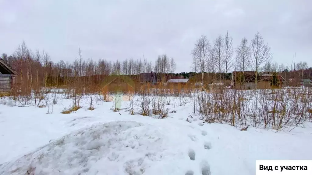 Участок в Ленинградская область, Выборгский район, Советское городское ... - Фото 1