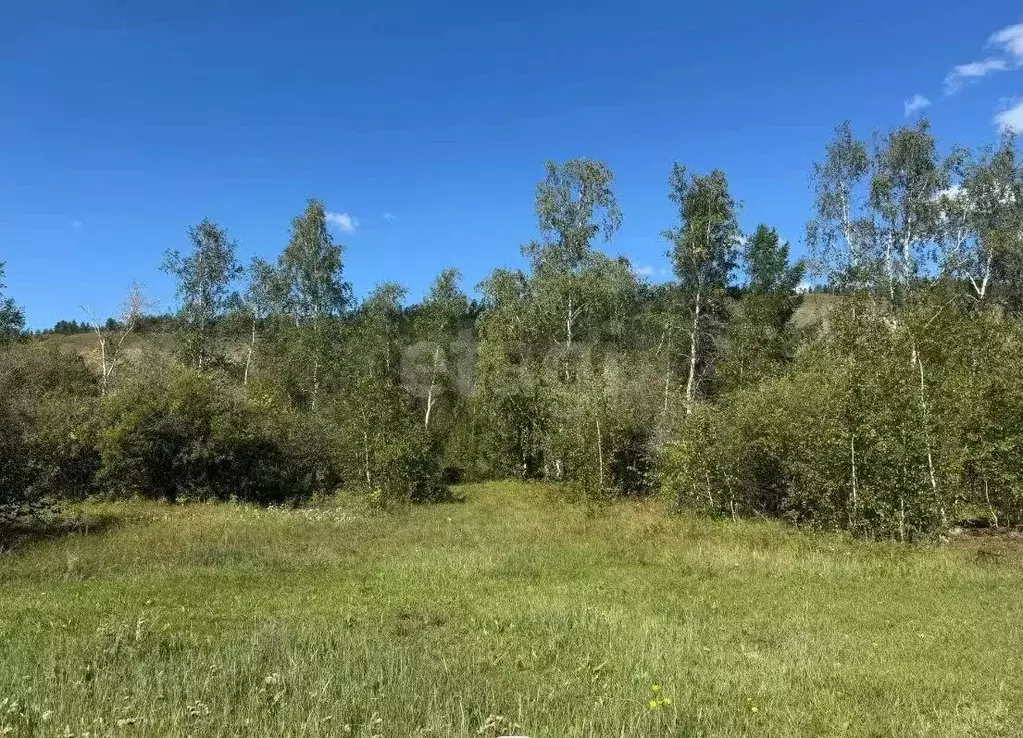 Участок, 13.5 сот., поселения (ижс) - Фото 1