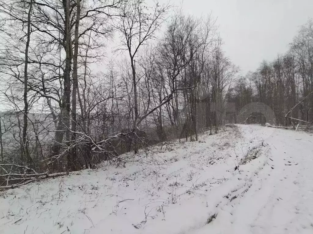 Участок 78 сот. (СНТ, ДНП) - Фото 0