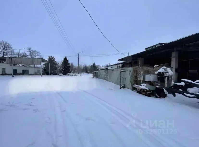 Производственное помещение в Ростовская область, Зерноград Советская ... - Фото 0