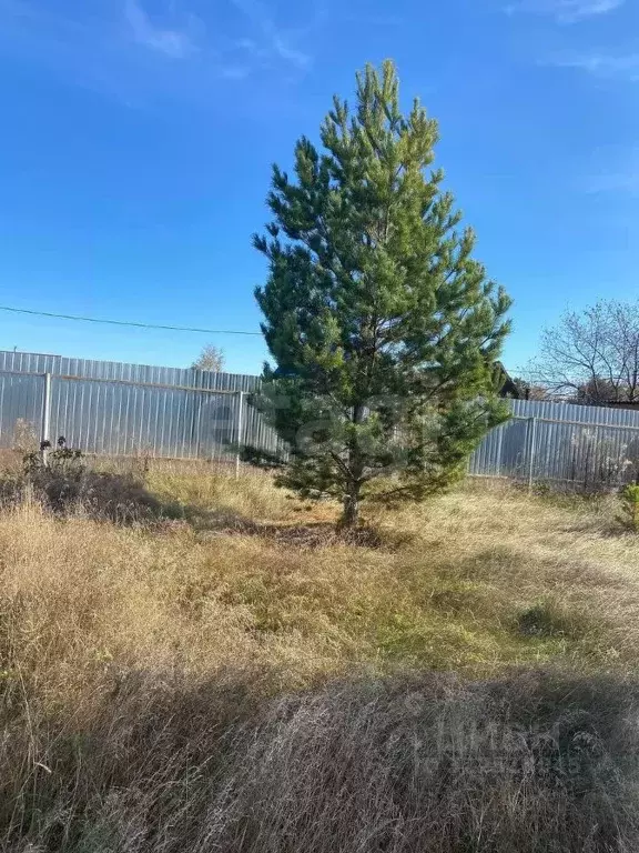 Участок в Тюменская область, Тюменский муниципальный округ, Лоза СНТ ... - Фото 1