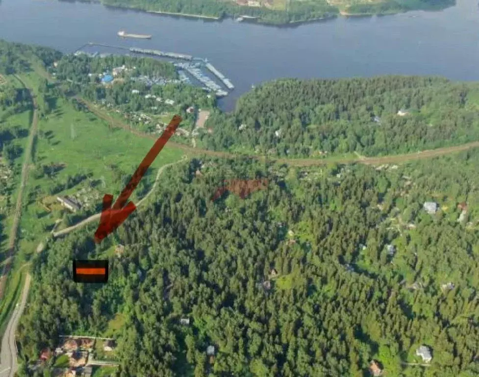 Продается участок в с. Петрово-Дальнее - Фото 2