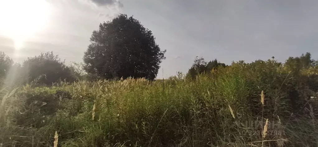 Участок в Московская область, Талдомский городской округ, д. ... - Фото 0