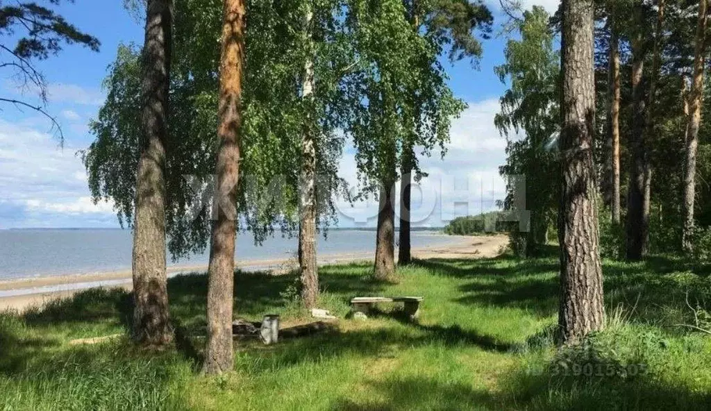 Участок в Новосибирская область, Искитимский район, с. Быстровка  ... - Фото 0