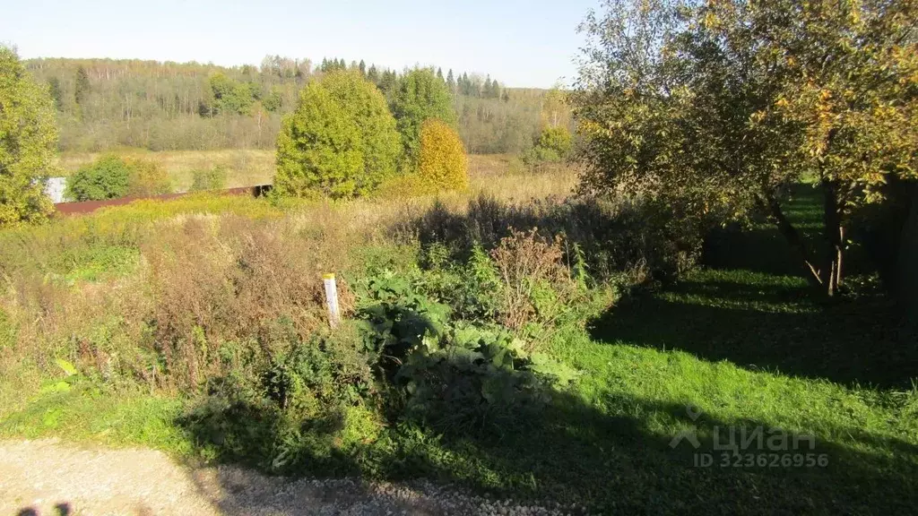 Участок в Московская область, Рузский муниципальный округ, д. Верхнее ... - Фото 1