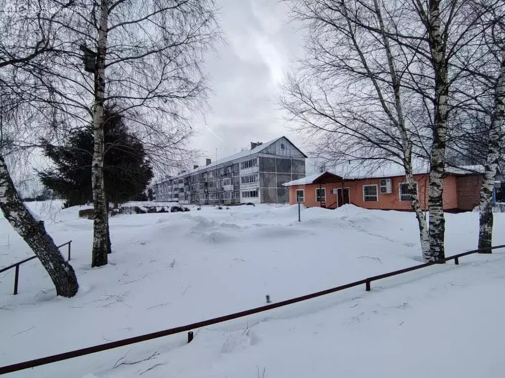 3-комнатная квартира: село Андроники, Ярославская улица, 12 (58.4 м) - Фото 2