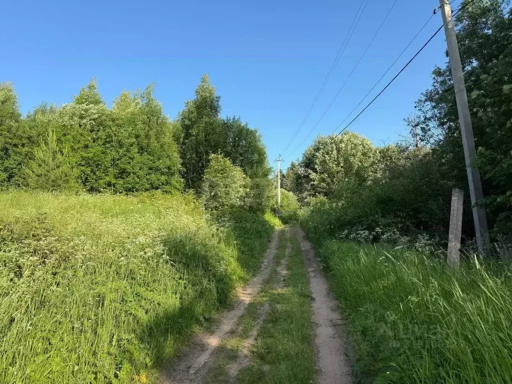 Участок в Вологодская область, Великоустюгский муниципальный округ, ... - Фото 1