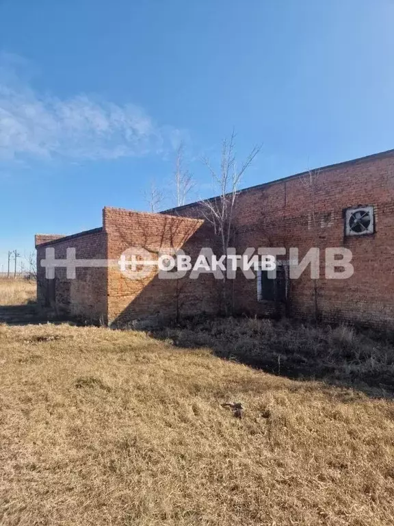 Помещение свободного назначения в Новосибирская область, Каргат ... - Фото 1