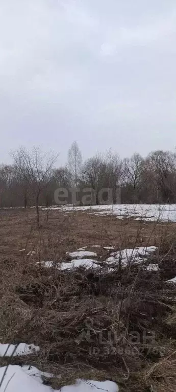 Участок в Липецкая область, Грязинский муниципальный округ, с. Бутырки ... - Фото 2