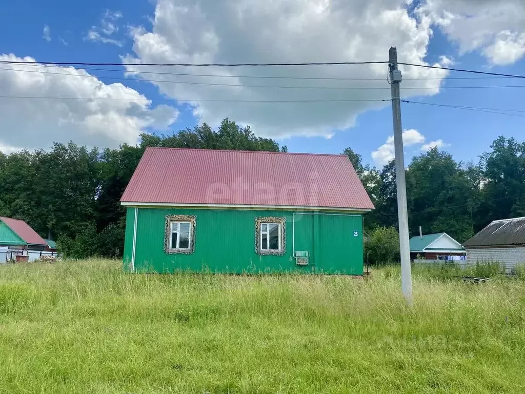 Дом в Башкортостан, Аургазинский район, с. Толбазы Луговая ул. (67 м) - Фото 1