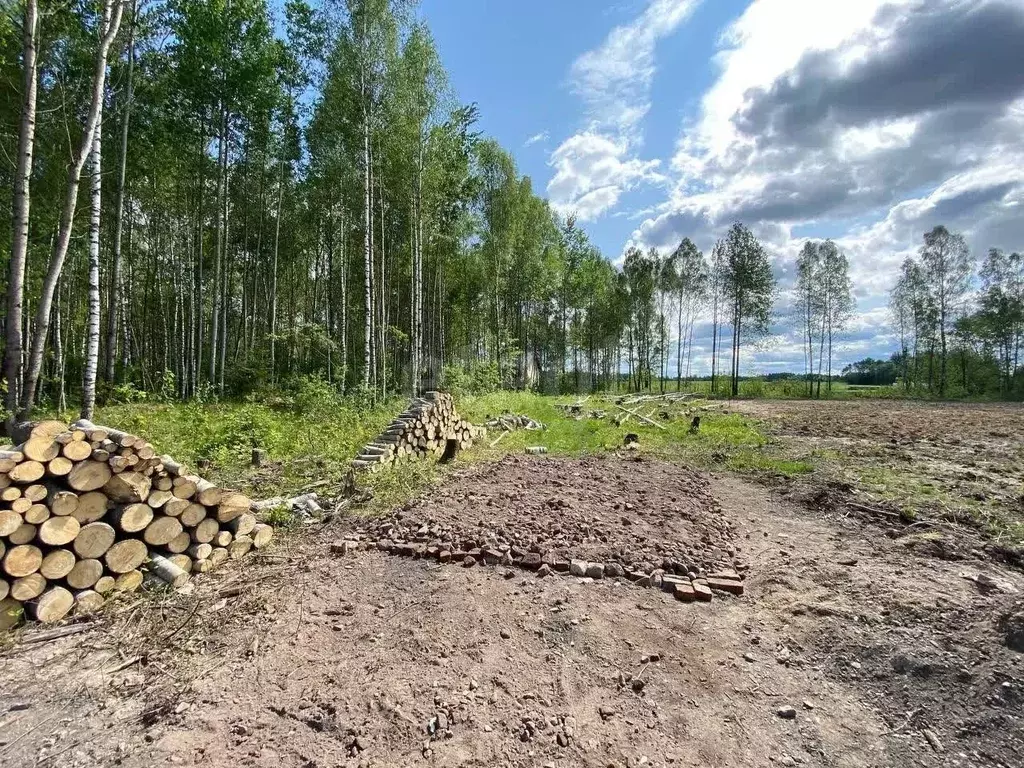 Участок в Ярославская область, Рыбинский муниципальный округ, ... - Фото 0