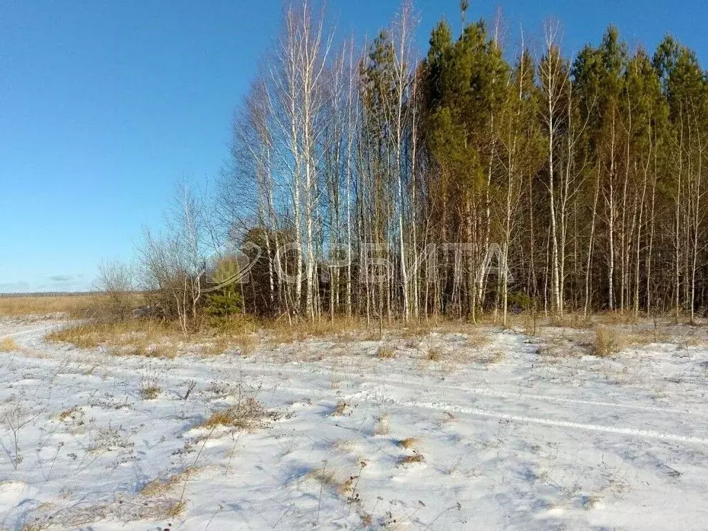 Участок в Тюменская область, Тюменский район, д. Елань  (6.65 сот.) - Фото 1