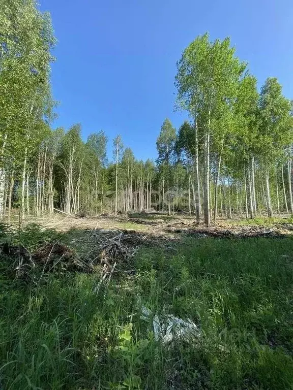 Участок в Тюменская область, Нижнетавдинский район, Строитель ТСН 786 ... - Фото 0