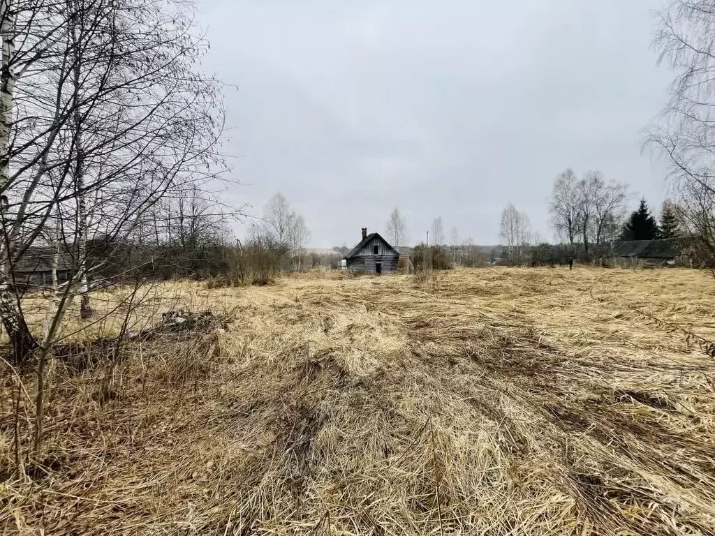 Участок в Смоленская область, Ярцевский муниципальный округ, д. ... - Фото 0