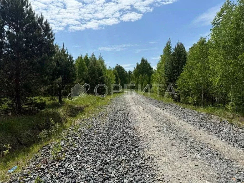 Участок в Тюменская область, Тюменский район, Новокаменский кп ул. ... - Фото 0