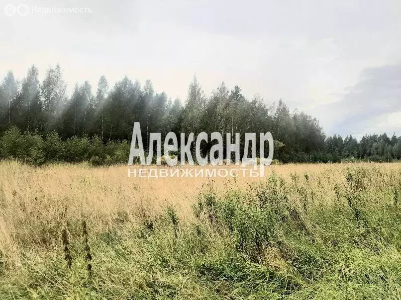 Участок в Мельниковское сельское поселение (337 м) - Фото 2