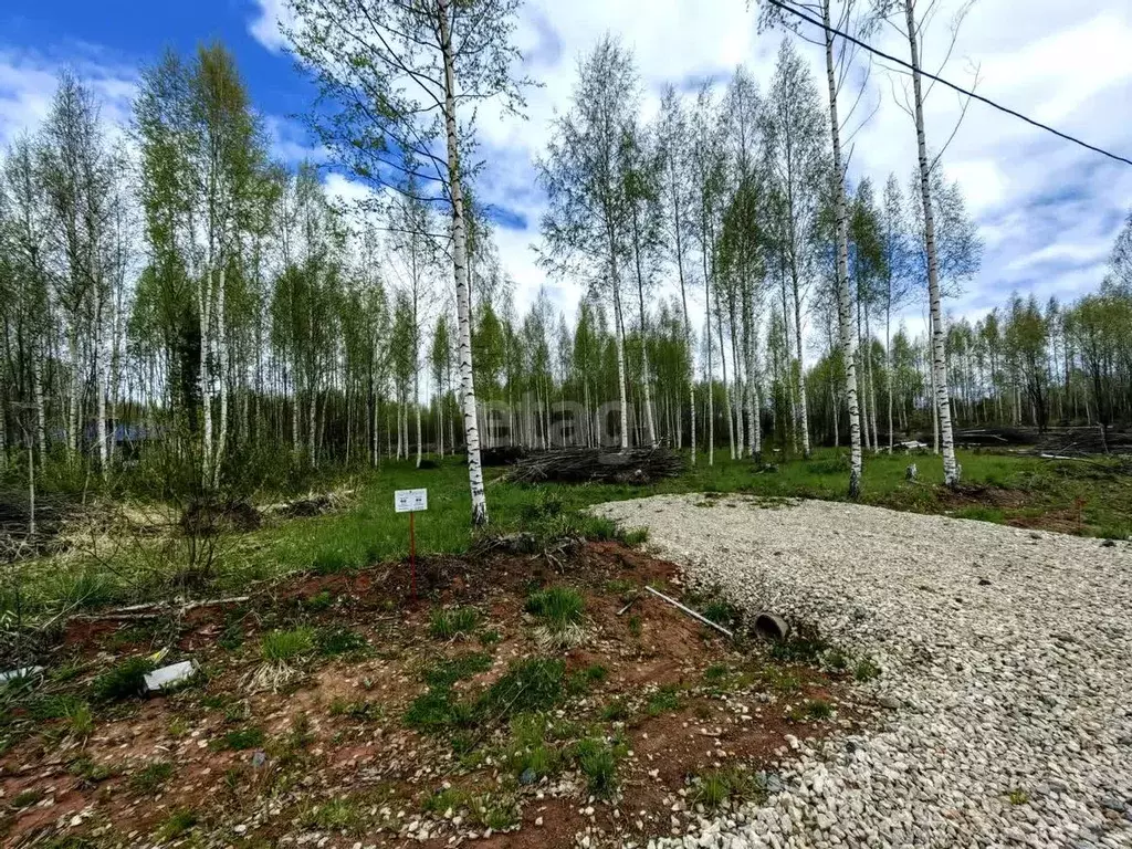 Участок в Пермский край, Добрянский городской округ, д. Залесная  (7.0 ... - Фото 0