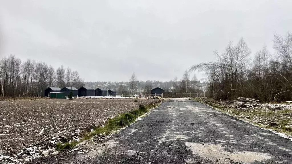 Участок в Московская область, Пушкинский городской округ, Софрино пгт ... - Фото 1