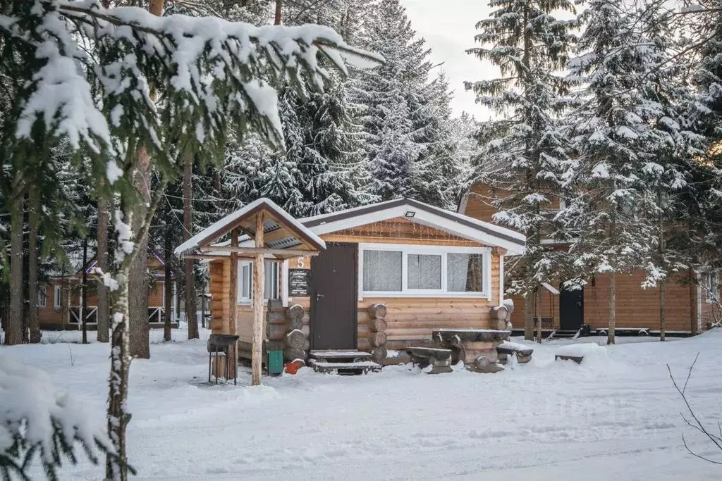 Дом в Ленинградская область, Тосненский район, Шапкинское с/пос, пос. ... - Фото 1