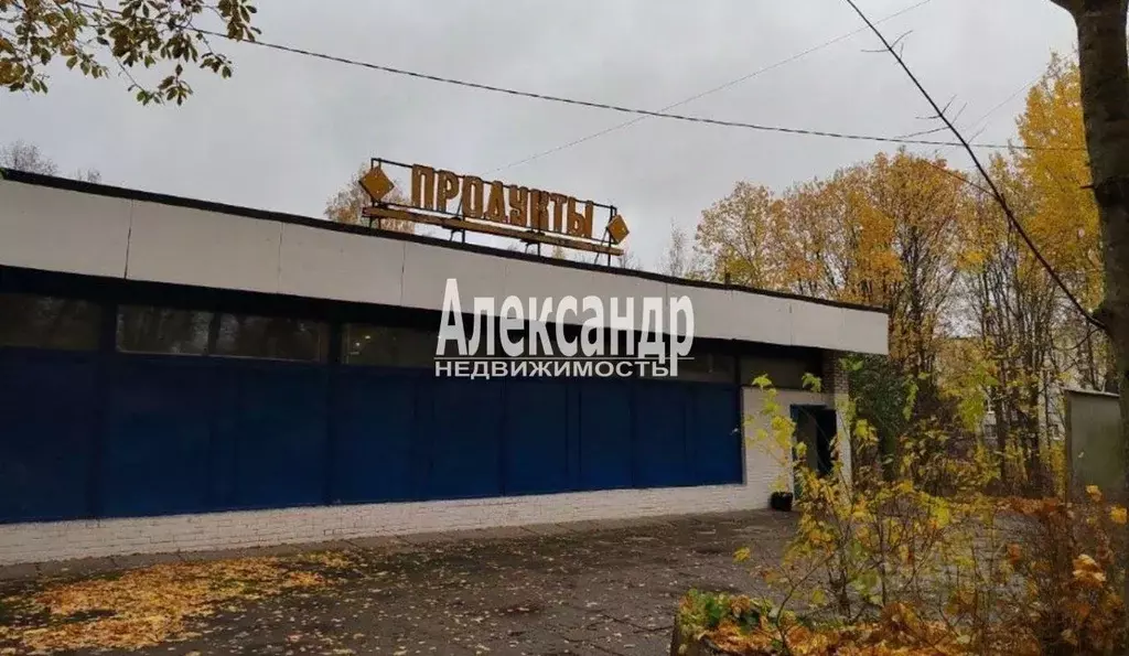 Торговая площадь в Ленинградская область, Всеволожск ул. Шишканя, 17к2 ... - Фото 1