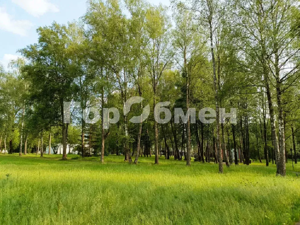 Продается участок в с. Вороново - Фото 2