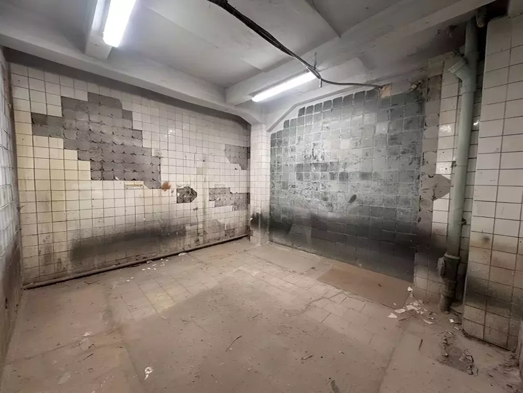 Склад в Санкт-Петербург Новочеркасский просп., 1Л (164 м) - Фото 1