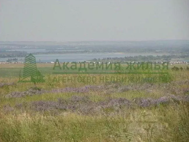 Участок в Саратовская область, Саратов муниципальное образование, д. ... - Фото 1