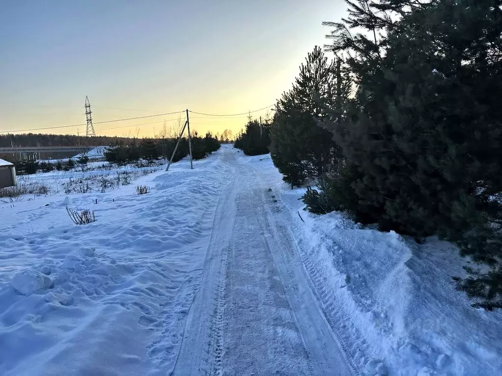 Участок в Московская область, Чехов городской округ, д. Плешкино  (6.0 ... - Фото 0