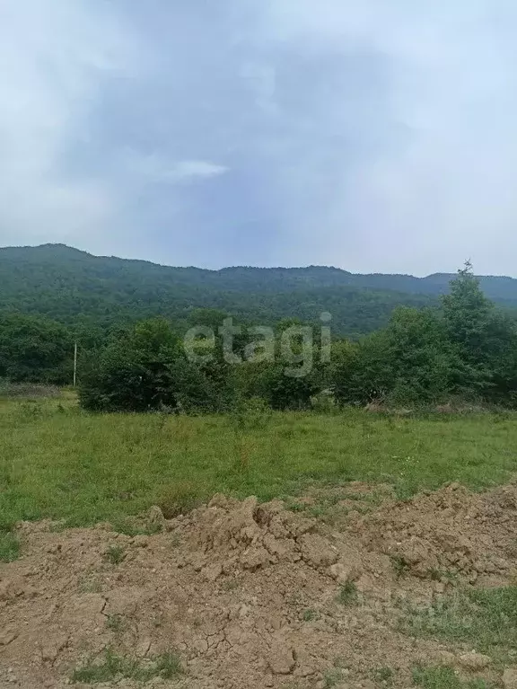 Участок в Адыгея, Майкопский район, Даховское с/пос, с. Хамышки ул. ... - Фото 1